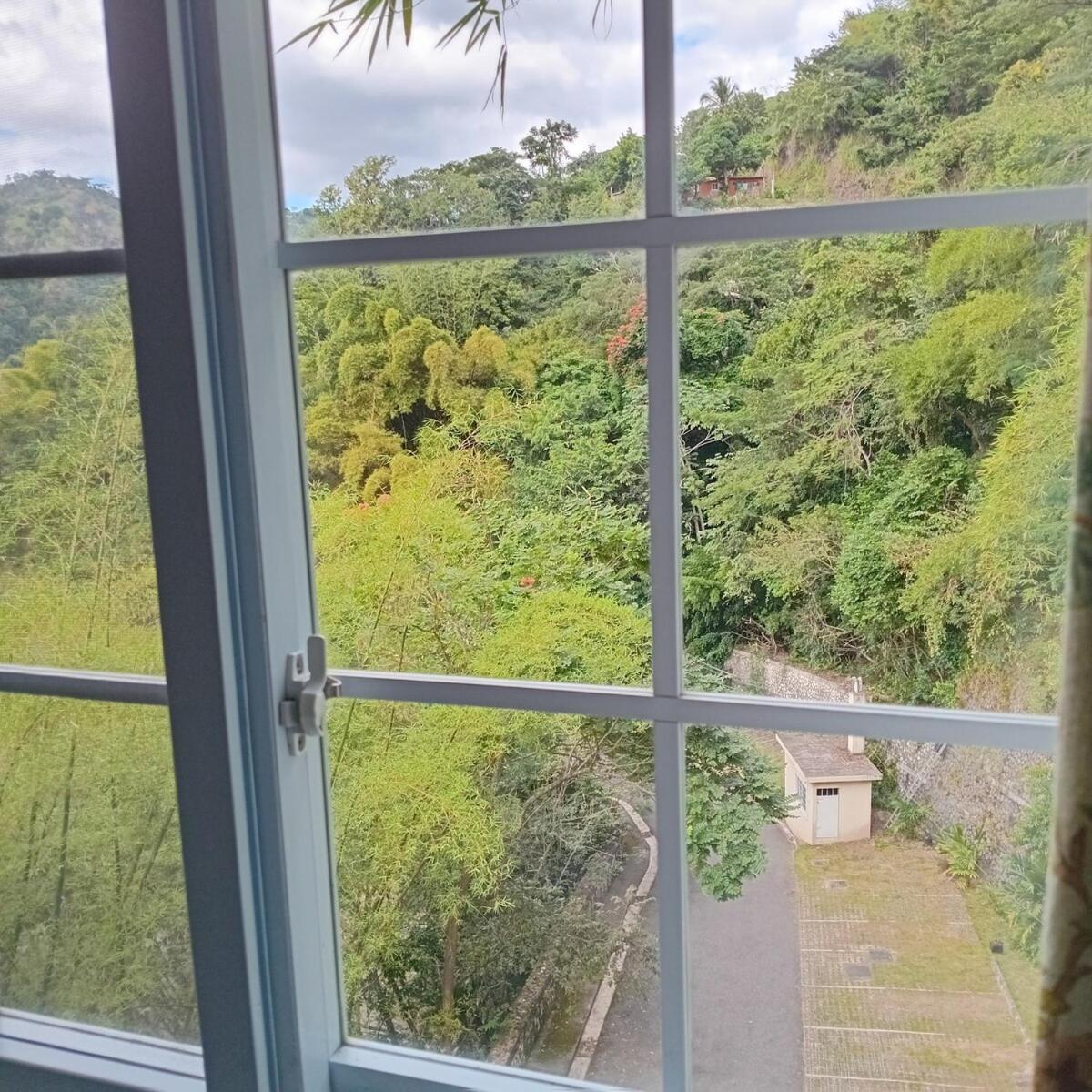 Gorgeous 1 Bedroom Apartment In The Kingston Hills 외부 사진