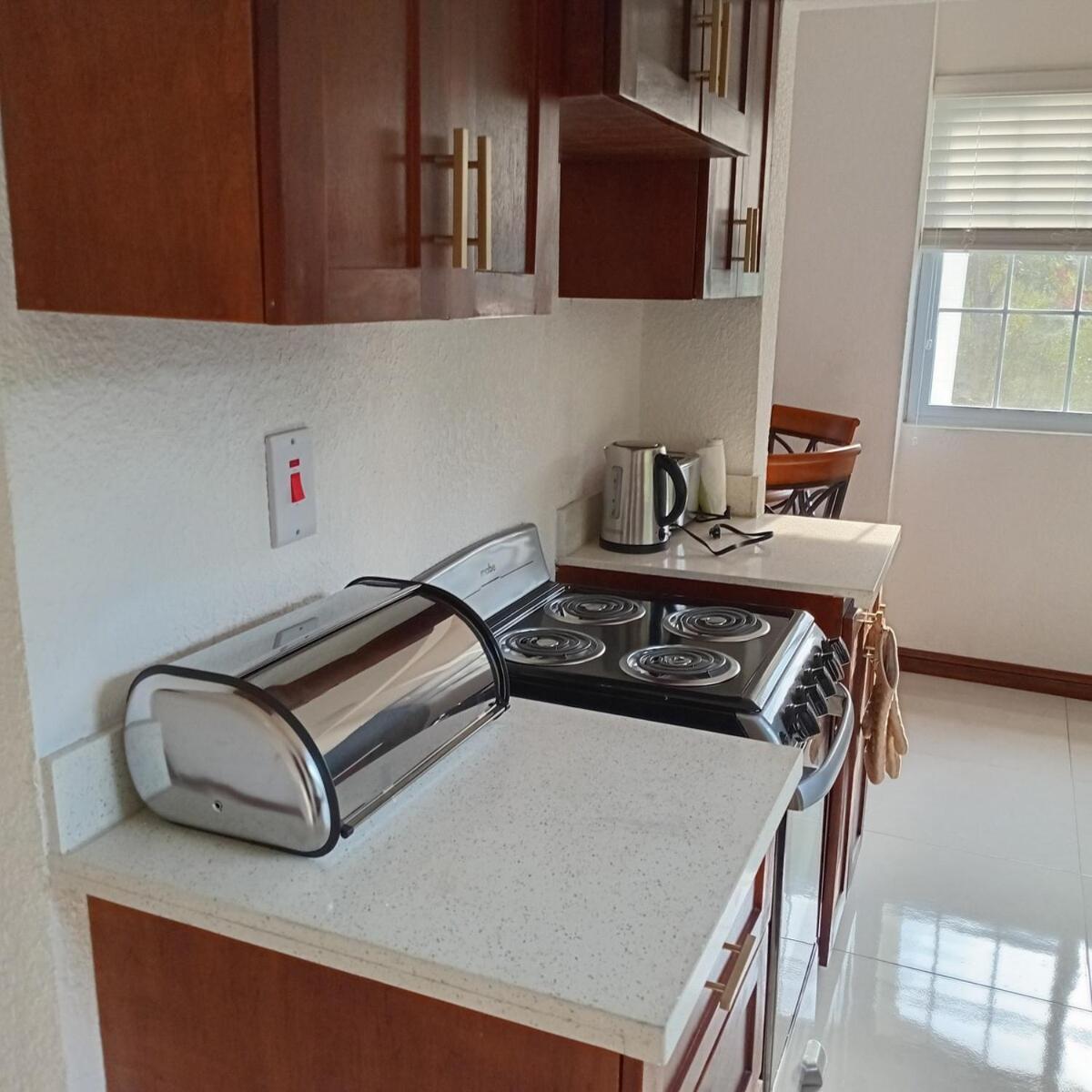Gorgeous 1 Bedroom Apartment In The Kingston Hills 외부 사진