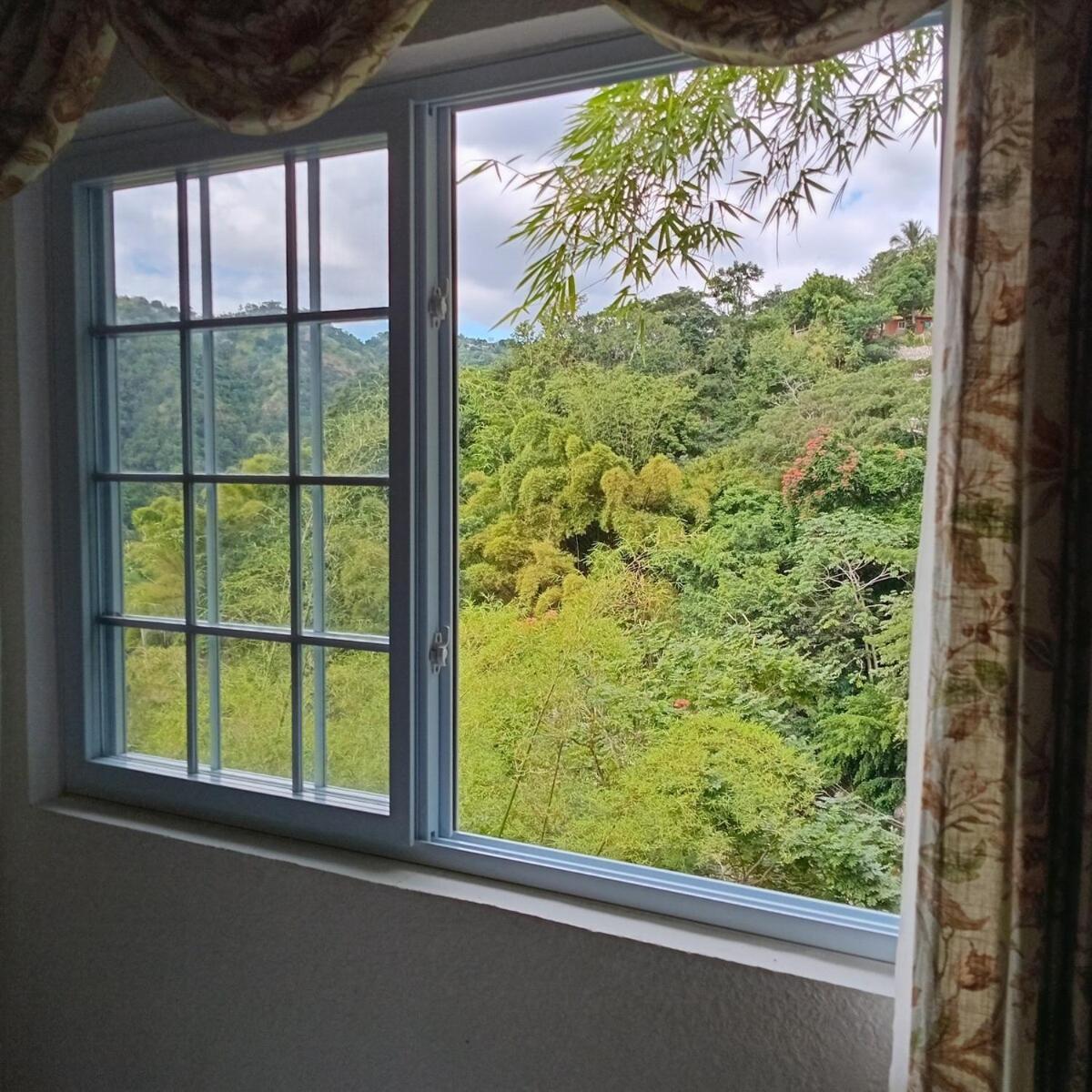 Gorgeous 1 Bedroom Apartment In The Kingston Hills 외부 사진