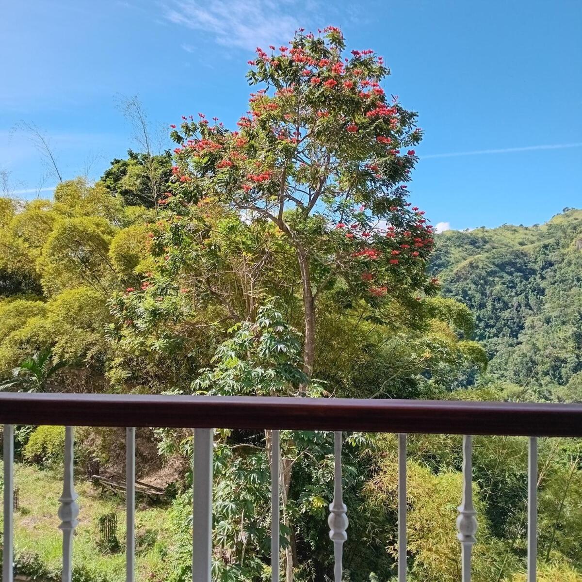 Gorgeous 1 Bedroom Apartment In The Kingston Hills 외부 사진
