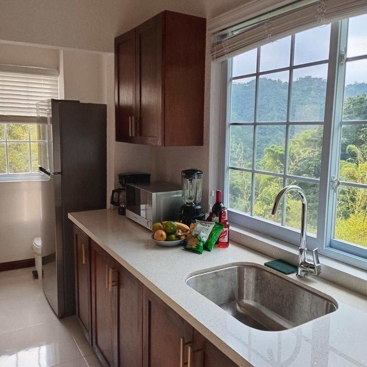 Gorgeous 1 Bedroom Apartment In The Kingston Hills 외부 사진