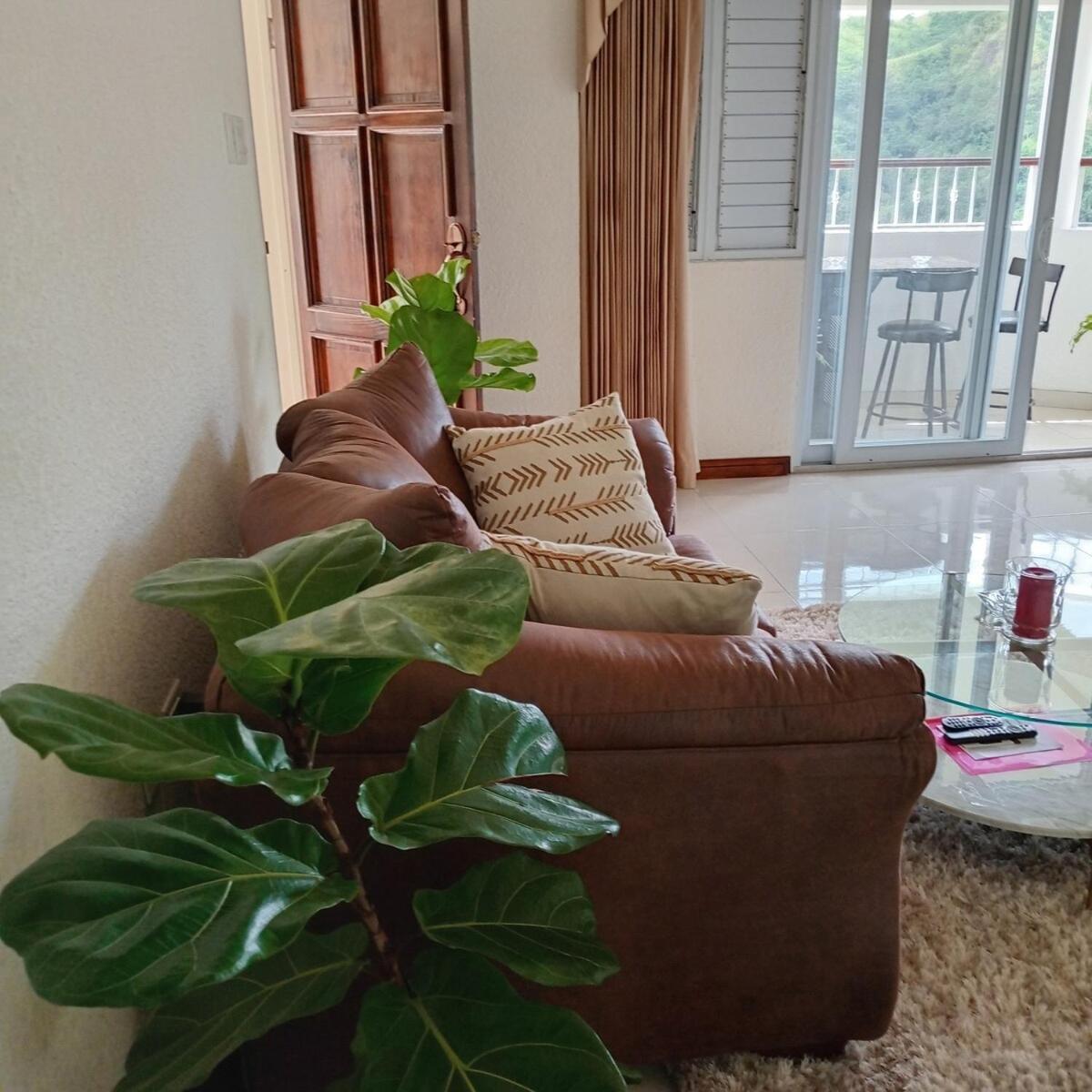 Gorgeous 1 Bedroom Apartment In The Kingston Hills 외부 사진