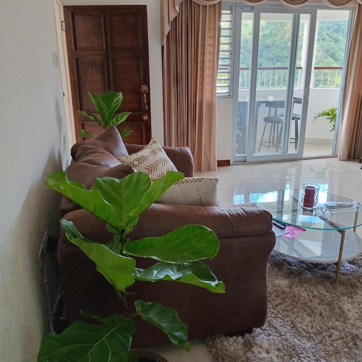 Gorgeous 1 Bedroom Apartment In The Kingston Hills 외부 사진