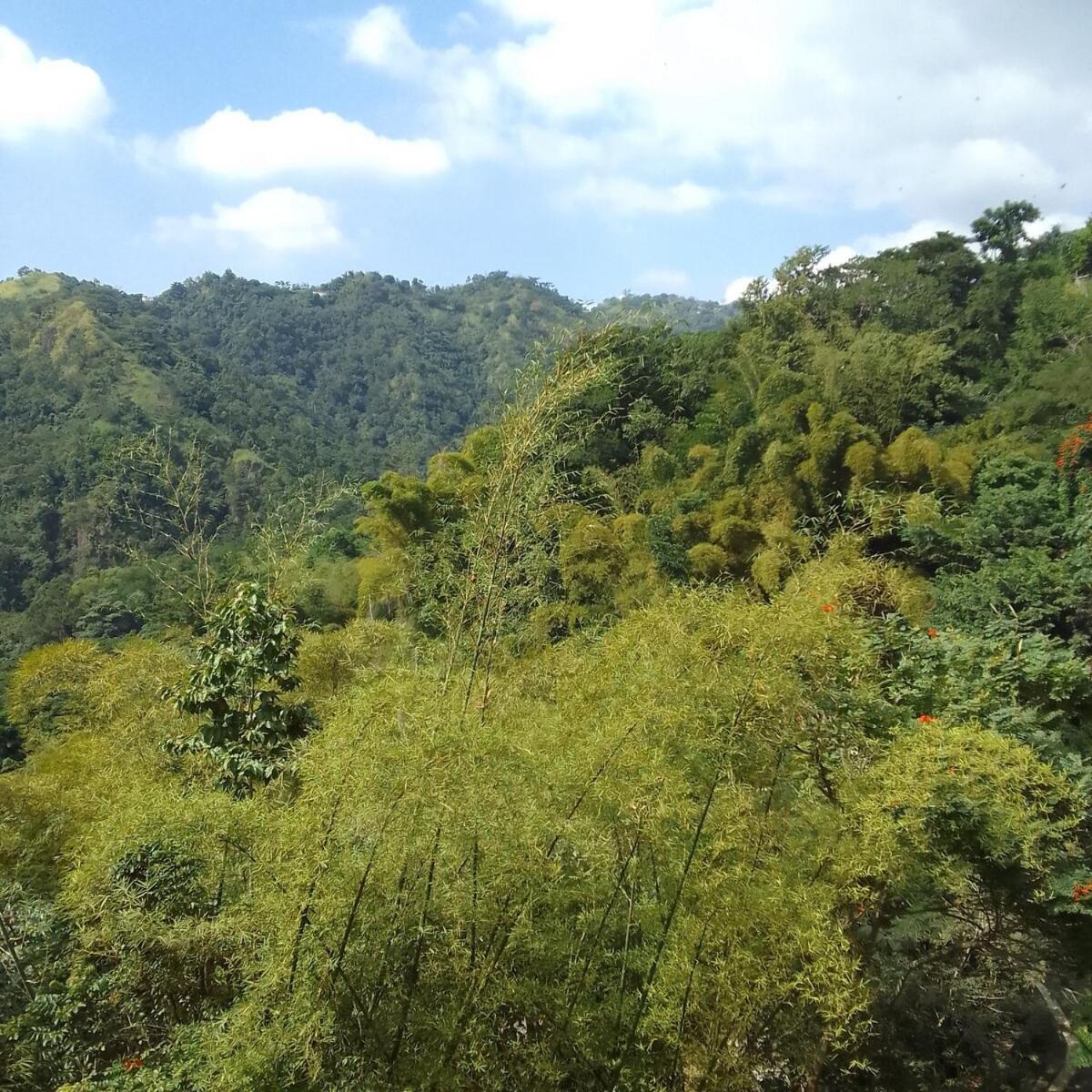 Gorgeous 1 Bedroom Apartment In The Kingston Hills 외부 사진