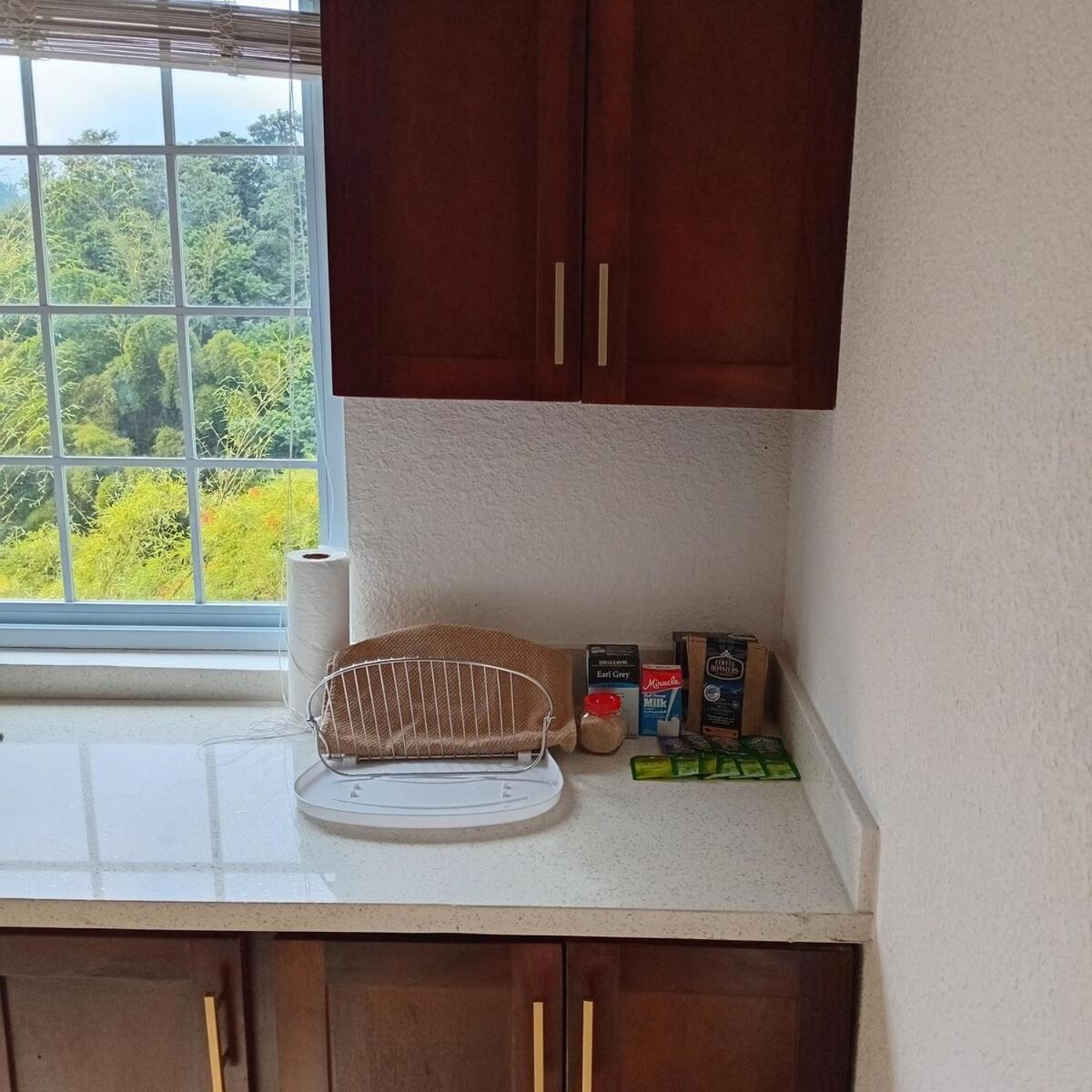 Gorgeous 1 Bedroom Apartment In The Kingston Hills 외부 사진