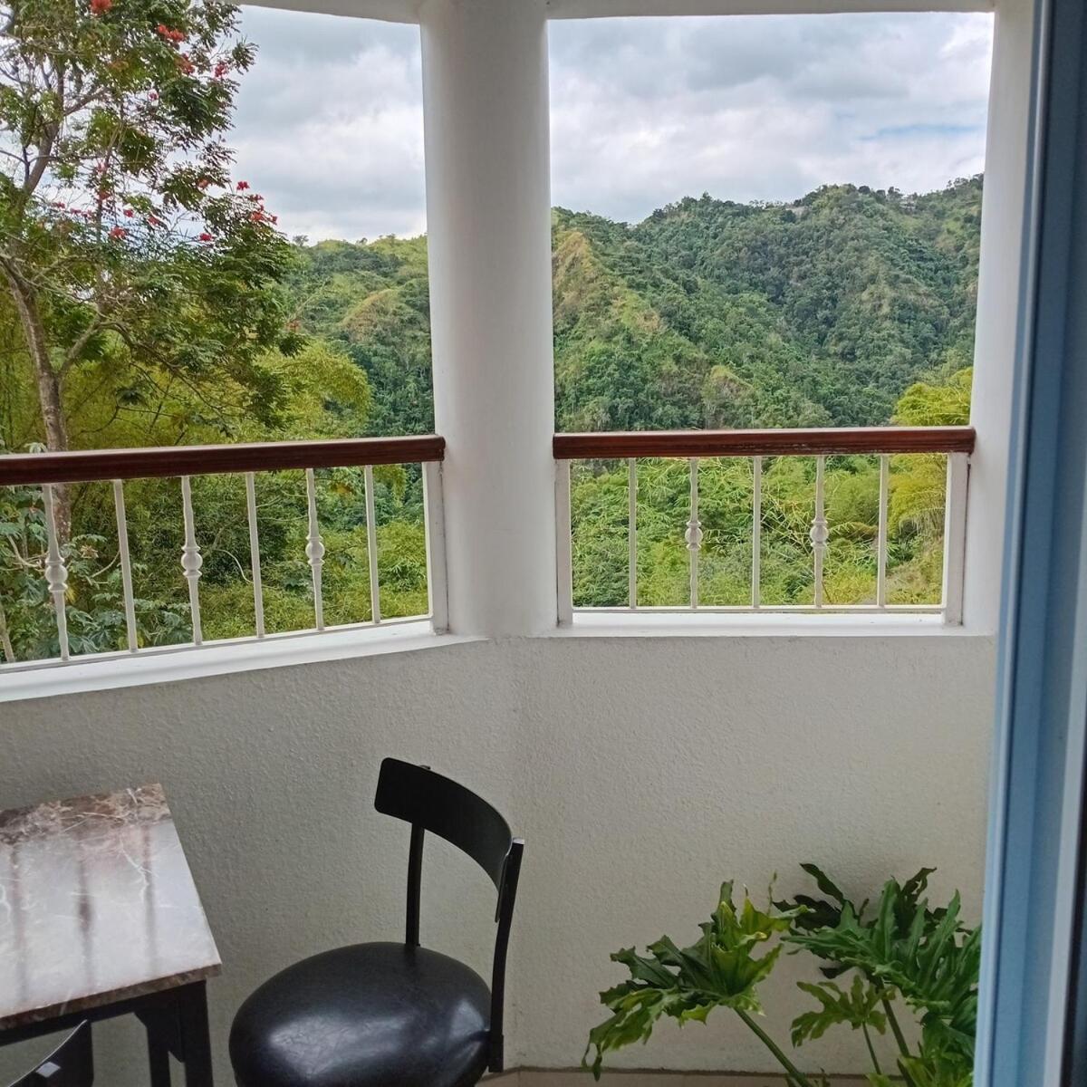 Gorgeous 1 Bedroom Apartment In The Kingston Hills 외부 사진