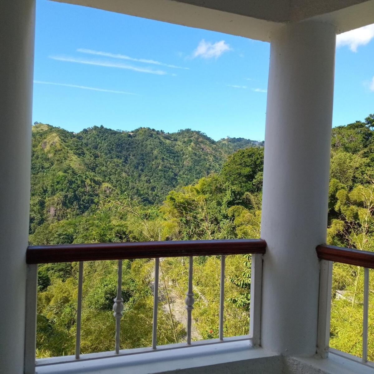 Gorgeous 1 Bedroom Apartment In The Kingston Hills 외부 사진